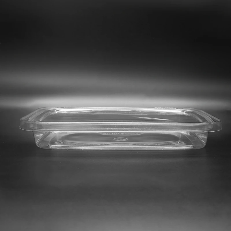 M22X13 Food Packaging Container plastic packaging view 6