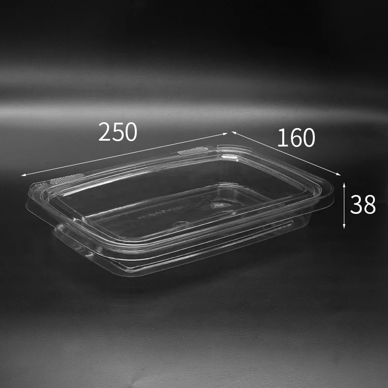 M22X13 Food Packaging Container plastic packaging view 9