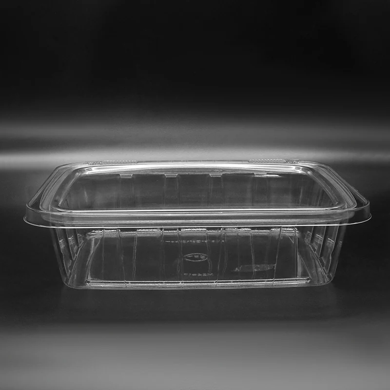 M24X17 Food Packaging Container plastic packaging view 5