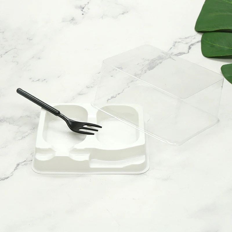 ZY-037 Food Packaging Container product view 2